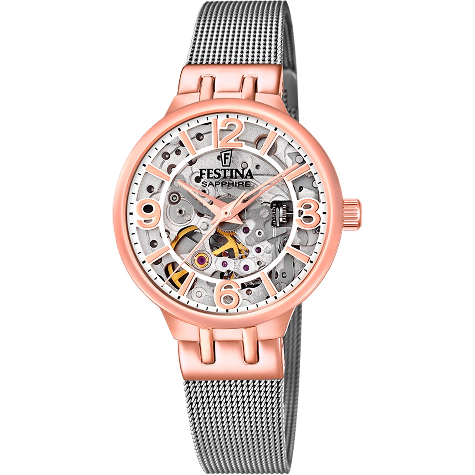 Montre Festina Automatic F20581